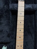 IMG_2584.jpg