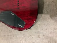 IMG_0064.jpeg