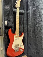 IMG_2558.jpeg