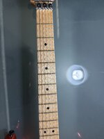IMG_2548.jpg