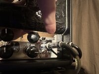 IMG_7728.jpeg IMG_7728.jpeg