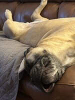 IMG_5216.jpeg
