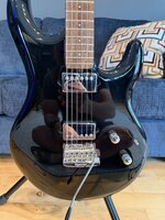 IMG_2936.jpeg