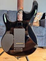 IMG_2938.jpeg