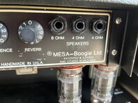 IMG_4481.jpeg