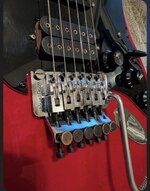 IMG_7974.jpeg