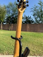 IMG_3851.jpeg