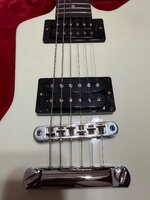 IMG_0179.jpeg
