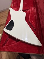 IMG_0183.jpeg
