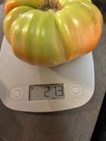 image1.jpeg