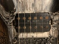 IMG_9524.jpeg