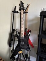 IMG_0207.jpeg