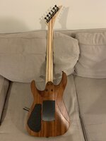 IMG_9538.jpeg