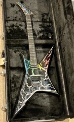 IMG_2523.jpeg