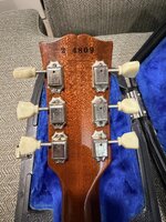 IMG_6555.jpeg