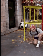 1787260141498.gif