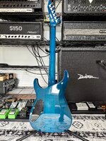 IMG_3253.jpeg