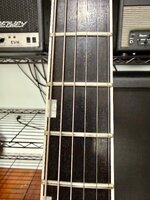 IMG_3252.jpeg