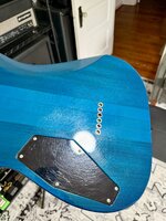 IMG_3258.jpeg