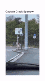 1787494379699.gif