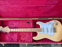 ST-YJM 3.jpg