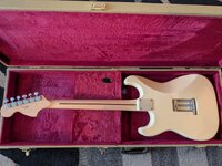 ST-YJM 2.jpg
