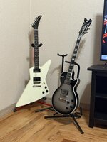 IMG_0256.jpeg