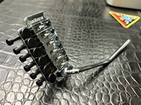 IMG_5104.jpeg