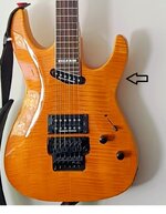 Shredstick new pickup.jpg