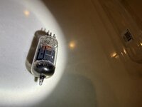 IMG_2286.jpeg