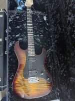 IMG_7041.jpeg