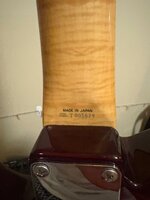IMG_2588.jpeg