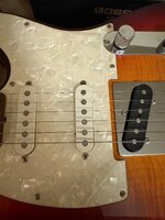 IMG_2586.jpeg