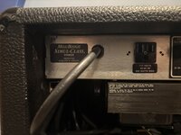 IMG_3727.jpeg
