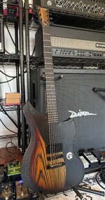 IMG_4416.jpeg