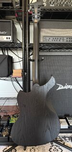 IMG_4420.jpeg