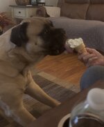 IMG_5547.jpeg
