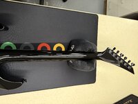 IMG_2501.jpeg