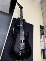 IMG_2420.jpeg