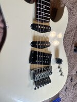 IMG_8523.jpeg