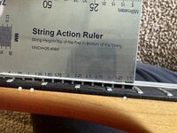 IMG_8525.jpeg