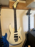 IMG_8422.jpeg
