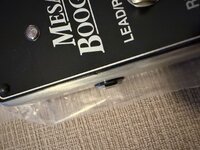 IMG_7099.jpeg