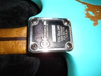 DSC00974.JPG
