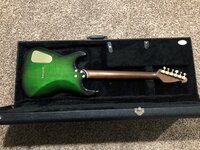 green burst 2.jpg