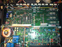 whole bottom boards.JPG