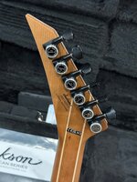 IMG_1708.jpeg