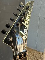 IMG_4541.jpeg