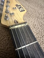 IMG_8917.jpeg IMG_8917.jpeg
