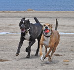 DSC_0386_2.JPG